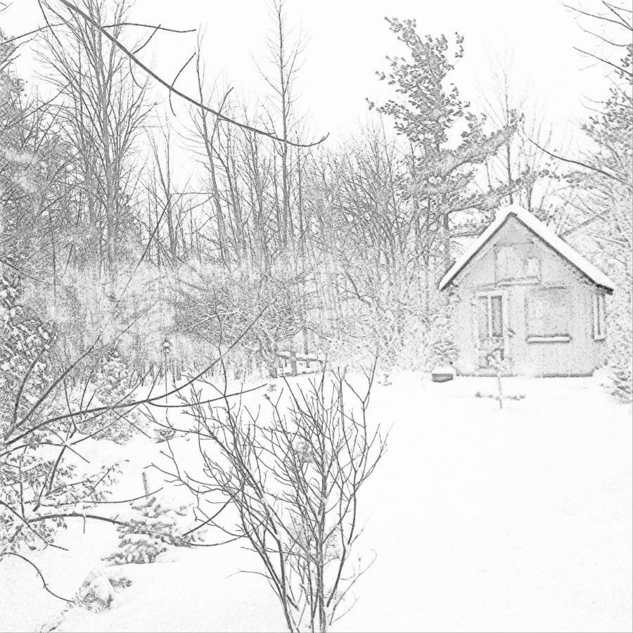 The Retreat House Blue Mountain 호텔 블루마운틴 외부 사진